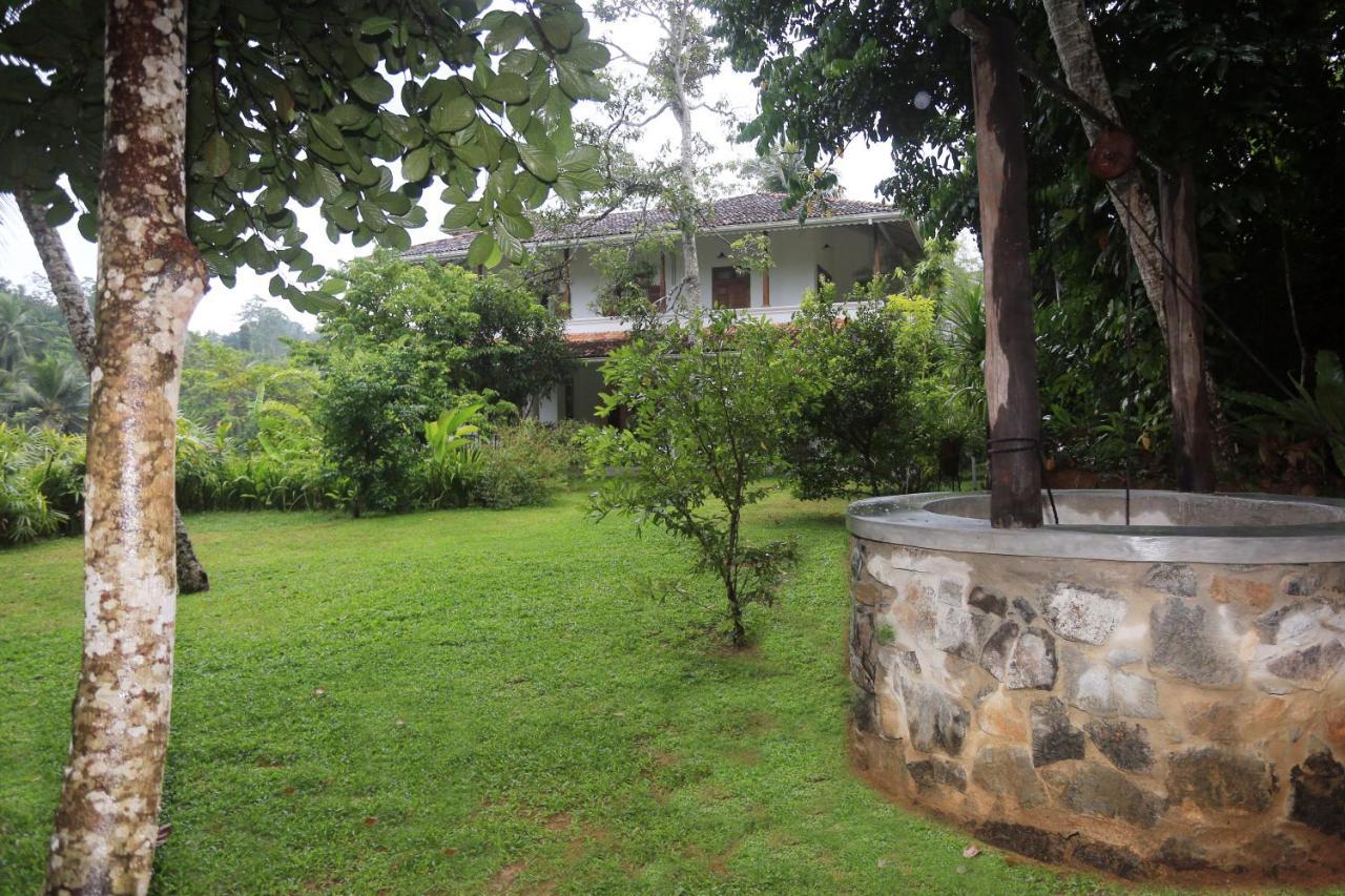 Halcyon Galle Exterior foto